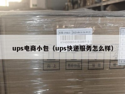 ups电商小包（ups快递服务怎么样）