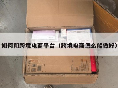 如何和跨境电商平台（跨境电商怎么能做好）