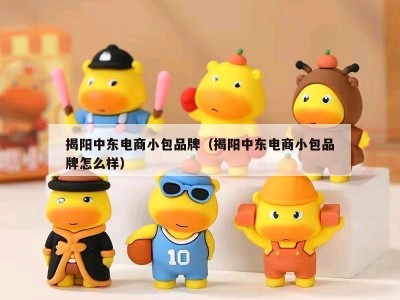 揭阳中东电商小包品牌（揭阳中东电商小包品牌怎么样）