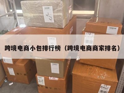 跨境电商小包排行榜（跨境电商商家排名）