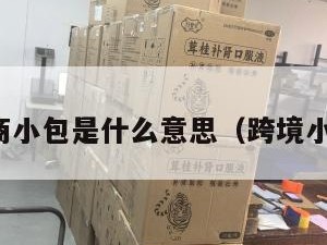 跨境电商小包是什么意思（跨境小包价格）