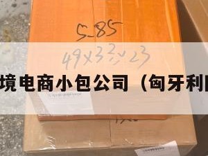 匈牙利跨境电商小包公司（匈牙利国际快递）
