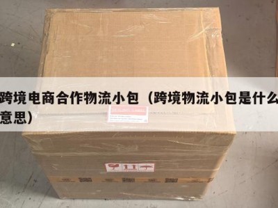 跨境电商合作物流小包（跨境物流小包是什么意思）