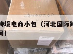 河北国际跨境电商小包（河北国际跨境电商小包物流公司）