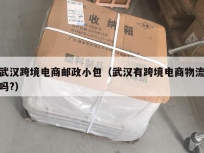 武汉跨境电商邮政小包（武汉有跨境电商物流吗?）