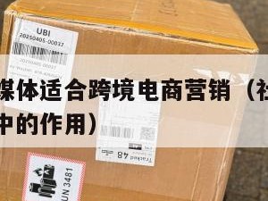 哪些社交媒体适合跨境电商营销（社交媒体在跨境电商中的作用）
