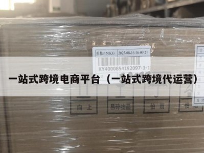 一站式跨境电商平台（一站式跨境代运营）