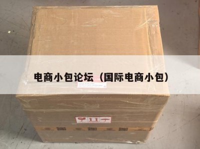 电商小包论坛（国际电商小包）