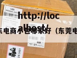 东莞中东电商小包哪家好（东莞电商平台）