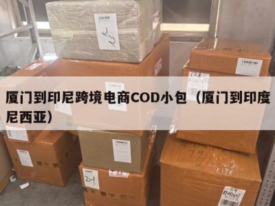 厦门到印尼跨境电商COD小包（厦门到印度尼西亚）