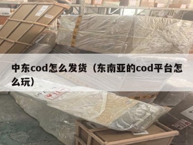 中东cod怎么发货（东南亚的cod平台怎么玩）