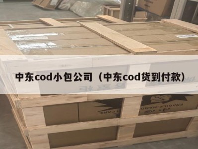 中东cod小包公司（中东cod货到付款）