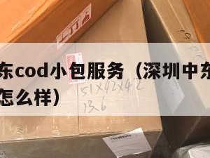 深圳中东cod小包服务（深圳中东cod小包服务怎么样）