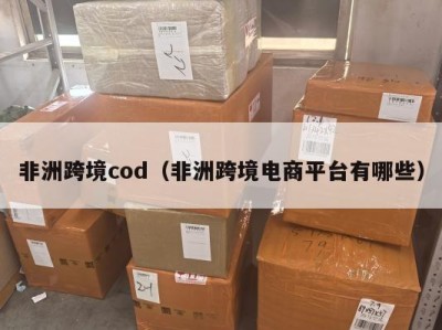 非洲跨境cod（非洲跨境电商平台有哪些）