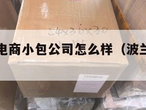 波兰跨境电商小包公司怎么样（波兰转运公司推荐）