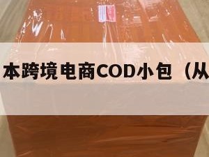 南京到日本跨境电商COD小包（从南京到日本）