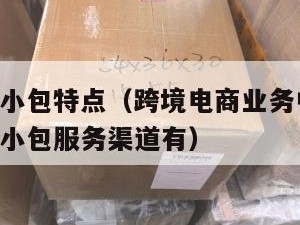 跨境电商小包特点（跨境电商业务中,目前常见的国际小包服务渠道有）