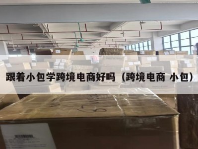 跟着小包学跨境电商好吗（跨境电商 小包）