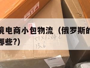 俄罗斯跨境电商小包物流（俄罗斯的跨境电商品类包括哪些?）
