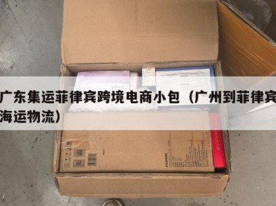 广东集运菲律宾跨境电商小包（广州到菲律宾海运物流）