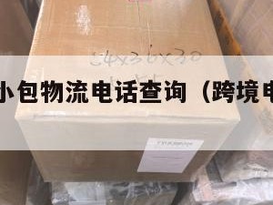 跨境电商小包物流电话查询（跨境电商小包发货货代）