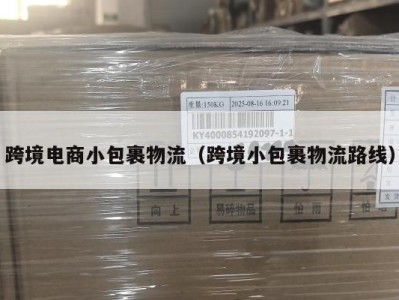 跨境电商小包裹物流（跨境小包裹物流路线）