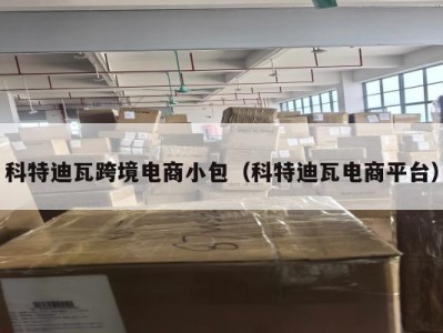 科特迪瓦跨境电商小包（科特迪瓦电商平台）