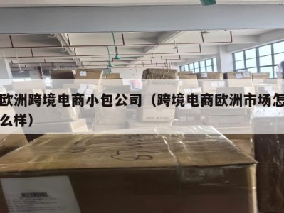 欧洲跨境电商小包公司（跨境电商欧洲市场怎么样）