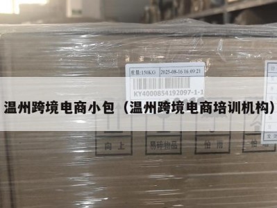 温州跨境电商小包（温州跨境电商培训机构）