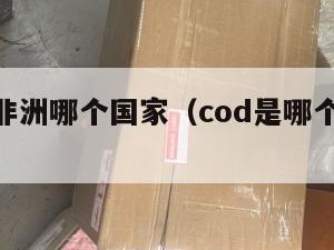cod是非洲哪个国家（cod是哪个国家的代码）
