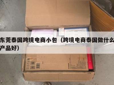 东莞泰国跨境电商小包（跨境电商泰国做什么产品好）