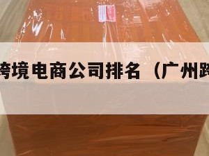 广州小包跨境电商公司排名（广州跨境电商大公司）
