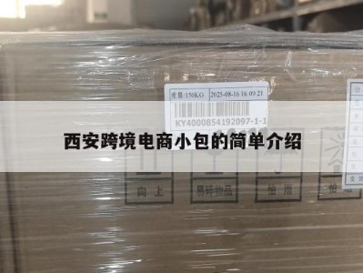 西安跨境电商小包的简单介绍