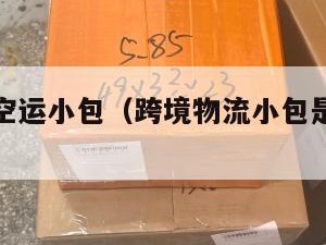 跨境电商空运小包（跨境物流小包是什么意思）