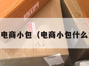 dgm电商小包（电商小包什么意思）