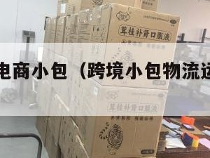 陆运跨境电商小包（跨境小包物流运费怎么计算）
