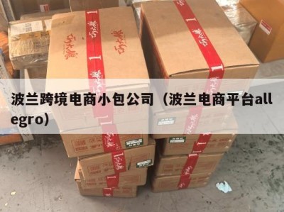 波兰跨境电商小包公司（波兰电商平台allegro）