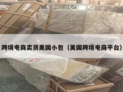 跨境电商卖货美国小包（美国跨境电商平台）