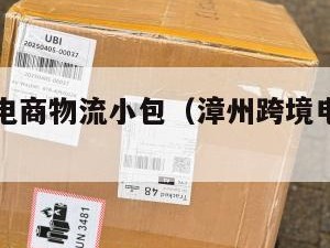 漳州跨境电商物流小包（漳州跨境电商综试区在哪）