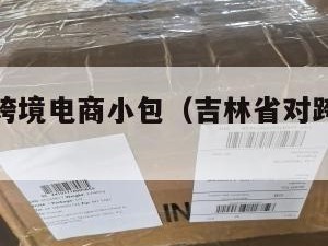 吉林国际跨境电商小包（吉林省对跨境电商扶持政策）