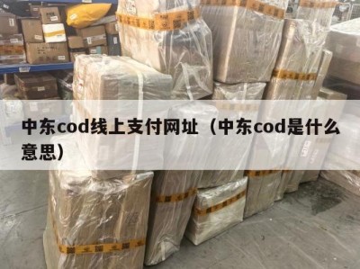 中东cod线上支付网址（中东cod是什么意思）