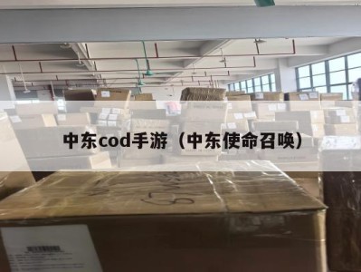 中东cod手游（中东使命召唤）