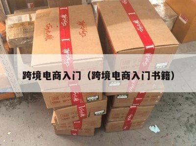 跨境电商入门（跨境电商入门书籍）