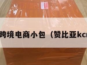 赞比亚跨境电商小包（赞比亚kcm公司）