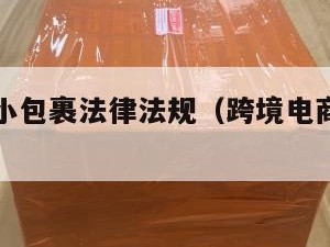 跨境电商小包裹法律法规（跨境电商小包发货货代）