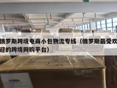 俄罗斯跨境电商小包物流专线（俄罗斯最受欢迎的跨境网购平台）