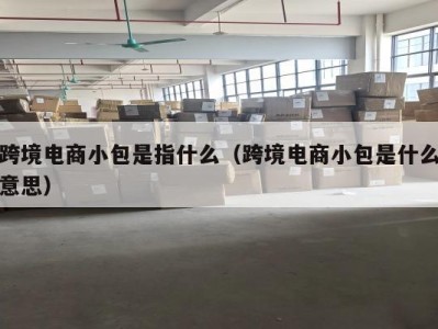 跨境电商小包是指什么（跨境电商小包是什么意思）