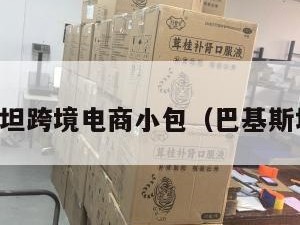 巴基斯坦跨境电商小包（巴基斯坦网店）