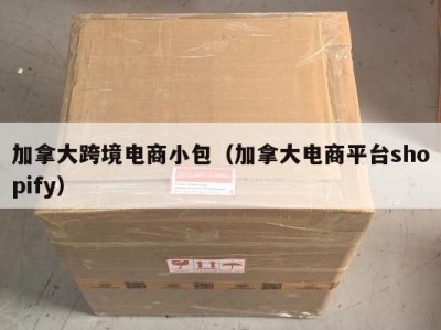 加拿大跨境电商小包（加拿大电商平台shopify）