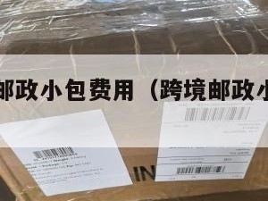 跨境电商邮政小包费用（跨境邮政小包运费计算公式）